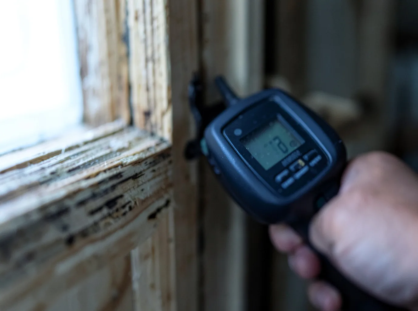 Moisture Inspection And Documentation in Saybrook, IL